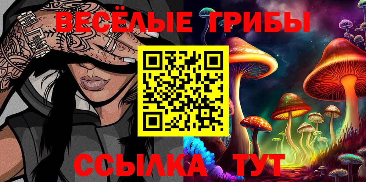 Кандалакша  Псилоцибиновые грибы мицелий  даркнет сайт  Вход с VPN 