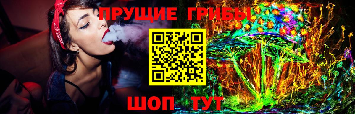Галлюциногенные грибы прущие грибы Кандалакша